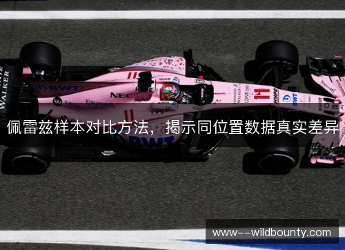 佩雷兹样本对比方法,揭示同位置数据真实差异 佩雷兹样本对比方法,揭示同位置数据真实差异