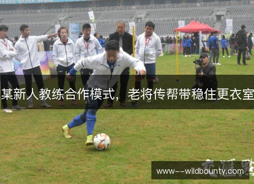 某新人教练合作模式，老将传帮带稳住更衣室