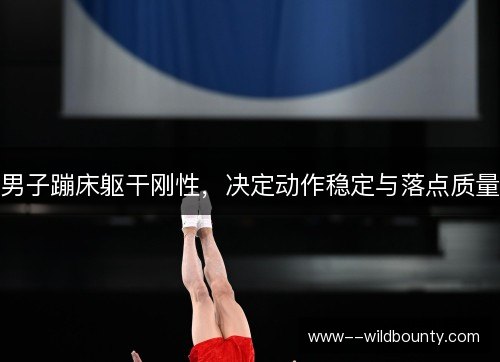 男子蹦床躯干刚性，决定动作稳定与落点质量