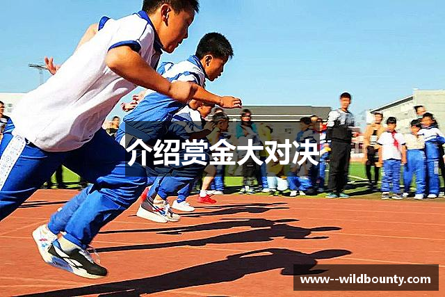 介绍赏金大对决